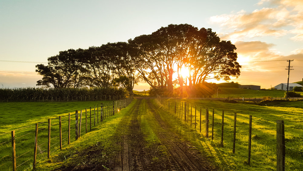   127 tonnes of carbon emission savings     Find out more   
